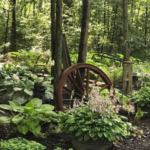 Meet your Posher, Diane